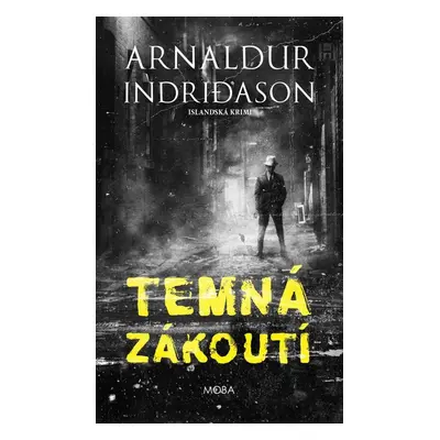 Temná zákoutí - Islandská krimi - Arnaldur Indridason