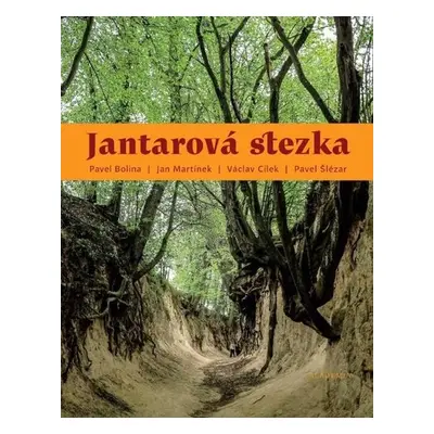 Jantarová stezka - Pavel Bolina