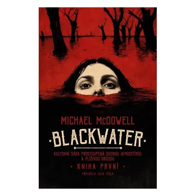 Blackwater: kniha první - Michael McDowell