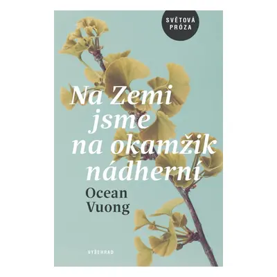 Na Zemi jsme na okamžik nádherní - Ocean Vuong