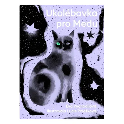 Ukolébavka pro Medu - Eva Vychodilová