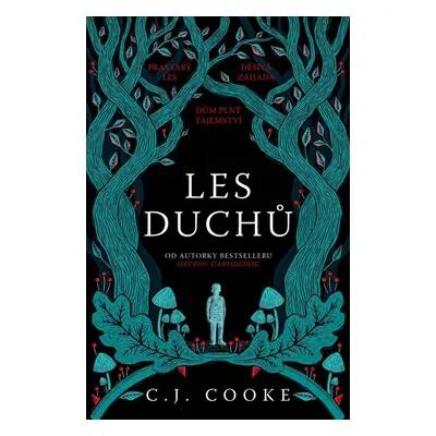 Les duchů - C. J. Cooke