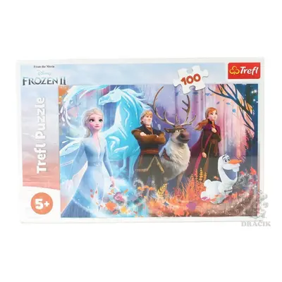 Trefl Puzzle Frozen 2 - Mrazivá magie / 100 dílků