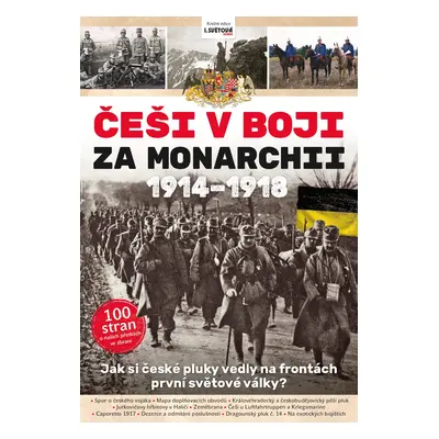 Češi v boji za Monarchii 1914-1918 - Kolektiv