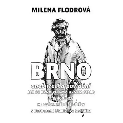 Brno aneb trocha povídání jak se Brno velkým Brnem stalo a jeho ulice ke svým jménům přišly - Mi