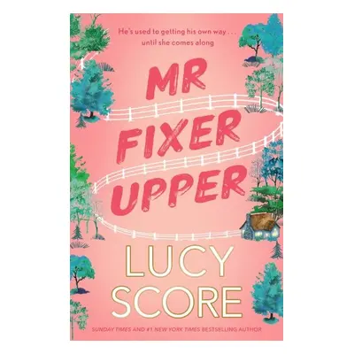 Mr Fixer Upper: the new romance from the bestselling Tiktok sensation! - Lucy Score