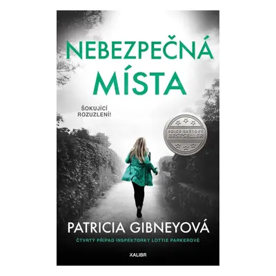 Nebezpečná místa - Patricia Gibneyová