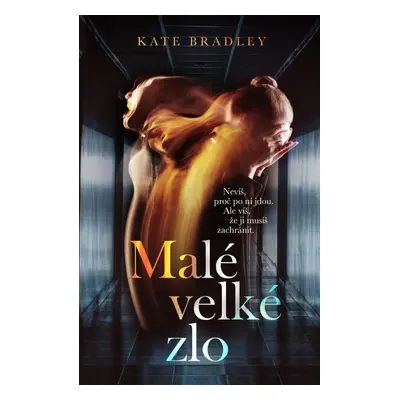 Malé velké zlo - Kate Bradley