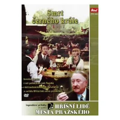 Smrt černého krále - DVD - Jiří Marek