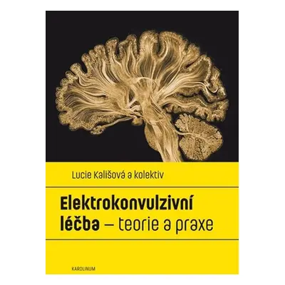 Elektrokonvulzivní léčba - teorie a praxe - Lucie Kališová