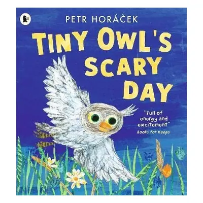 Tiny Owl´s Scary Day - Petr Horáček