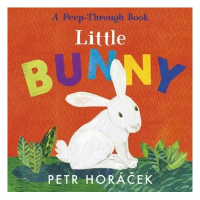 Little Bunny - Petr Horáček