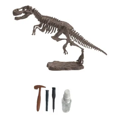 Archeologický set – Tyrannosaurus Rex - Alltoys