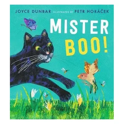 Mister Boo! - Joyce Dunbar