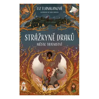 Strážkyně draků: Město tajemství - Liz Flanaganová