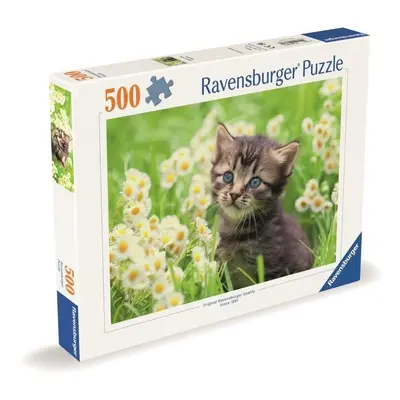 Puzzle Kotě na louce 500 dílků