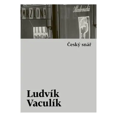 Český snář s komentářovým výkladem - Ludvík Vaculík