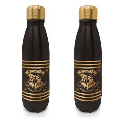 Harry Potter Mini láhev na pití nerezová 540 ml - EPEE