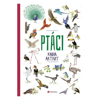 Ptáci - kniha aktivit - kolektiv