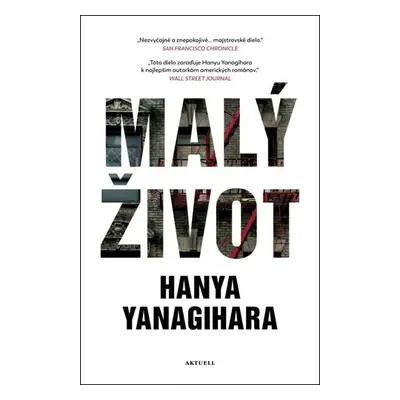 Malý život - Hanya Yanagihara