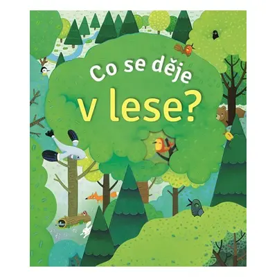 Co se děje v lese? - Anna Milbourneová