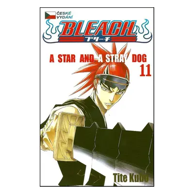 Bleach 11 - Tite Kubo