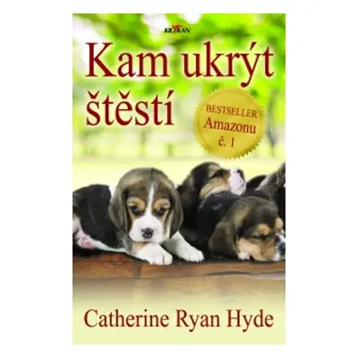 Kam ukrýt štěstí - Catherine Ryan Hyde