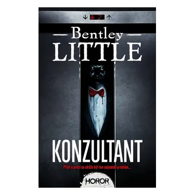 Konzultant - Bentley Little