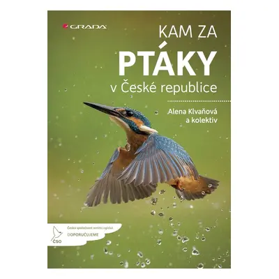 Kam za ptáky v České republice - kolektiv a