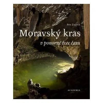 Moravský kras v ponorné řece času - Petr Zajíček