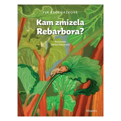 Kam zmizela Rebarbora? - Mgr. Iva Procházková