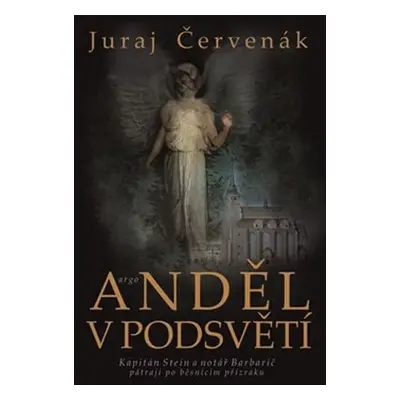 Anděl v podsvětí - Juraj Červenák