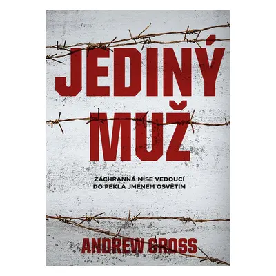 Jediný muž - Andrew Gross