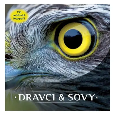 Dravci a sovy - Autor Neuveden