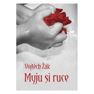 Myju si ruce - Vojtěch Žák