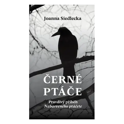 Černé ptáče - Joanna Siedlecka