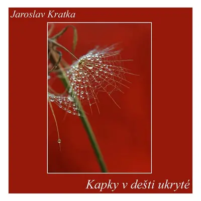 Kapky v dešti ukryté - Jaroslav Kratka