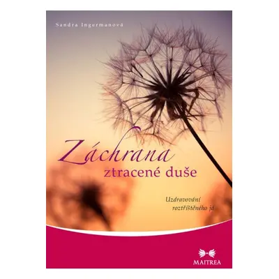 Záchrana ztracené duše - Sandra Ingerman