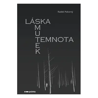 Láska, smutek, temnota - Radek Pokorný