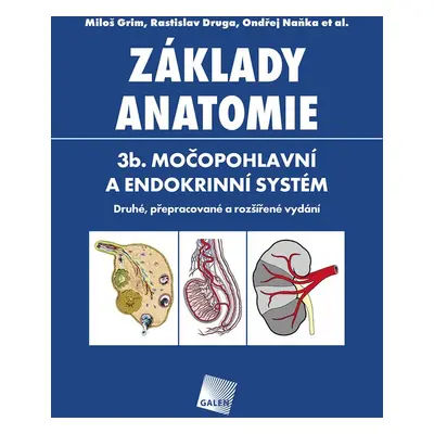 Základy anatomie 3b. - Rastislav Druga