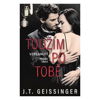 Toužím po tobě - T.J. Geissinger