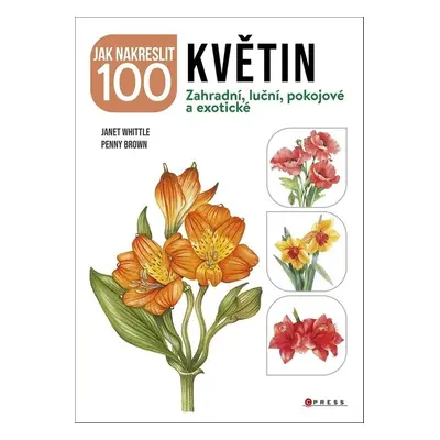 Jak nakreslit 100 květin - kolektiv