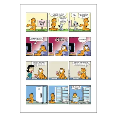 Garfield si zavaří - Jim Davis