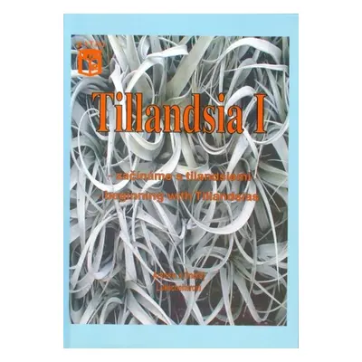 Tillandsia I - Antonín Lukscheiter