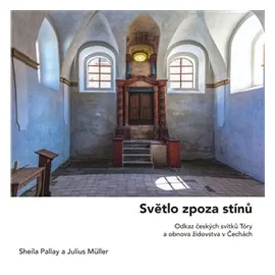 Světlo zpoza stínů - Julius Müller