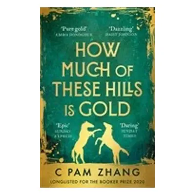 How Much of These Hills is Gold - C. Pam Zhang