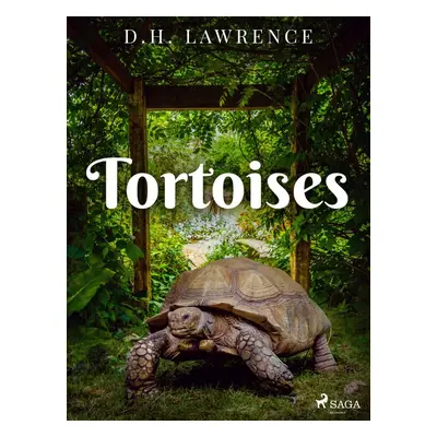 Tortoises - D. H. Lawrence