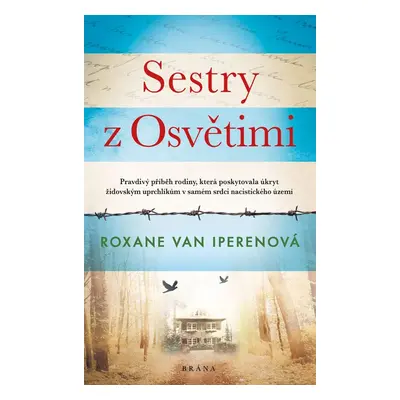 Sestry z Osvětimi - Roxane van Iperenová