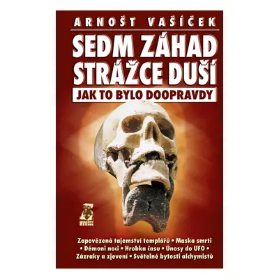 Sedm záhad Strážce duší - Arnošt Vašíček