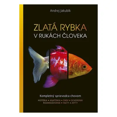 Zlatá rybka v rukách človeka - Andrej Jakubík